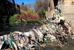 Trash and Litter flowing down the Hennops River and damaging the vegetation and nartural habitat